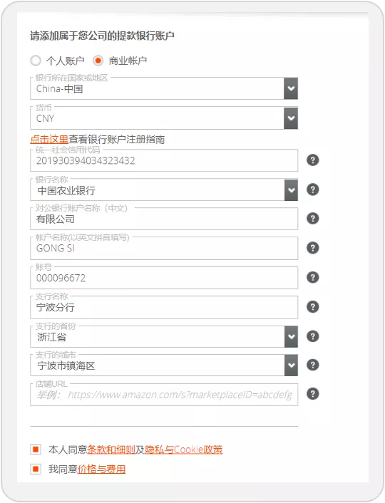 企业卖家入驻eBay指南之管理支付注册-第5张图片