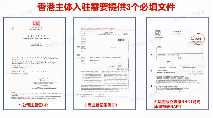 香港主体需要提供的文件1