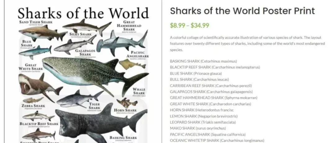 图案避雷：Keith律所全新四案涉12幅高危版权