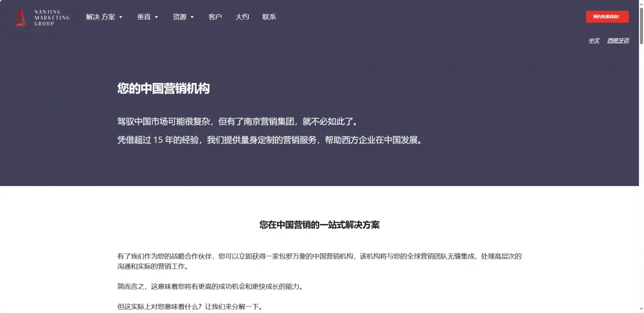 Nanjing Marketing Group