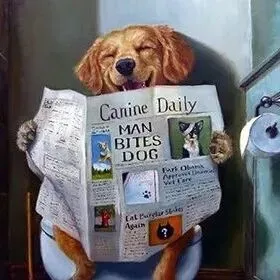 【25-cv-13540】11件趣味动物主题版权 TRO维权，Lucia Heffernan作品侵权风险高危！