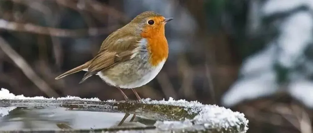 我们所以为的小众，是美国人的刚需&mdash;&mdash;信息差带来的选品机会