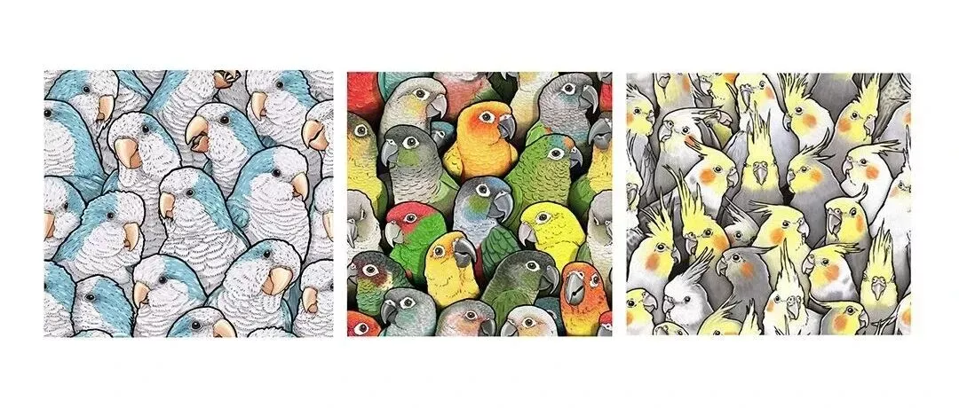 【侵权快讯】25-cv-13930 Keith全新版权案！这些趣味鹦鹉图片正在维权，速排查下架！