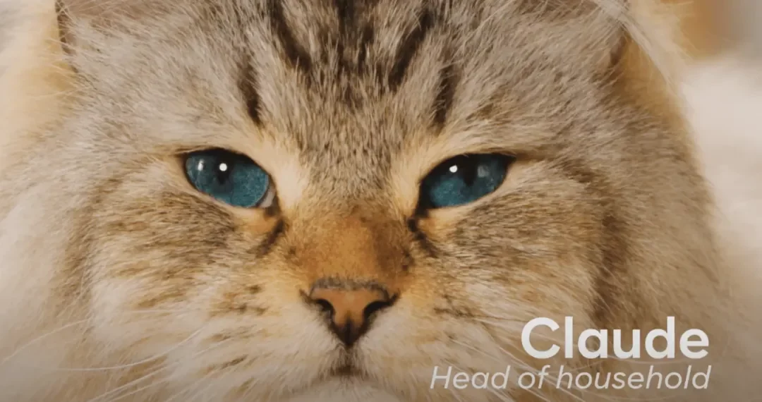 海外营销案例解析:稳住“毛孩子”,抓住钱袋子!