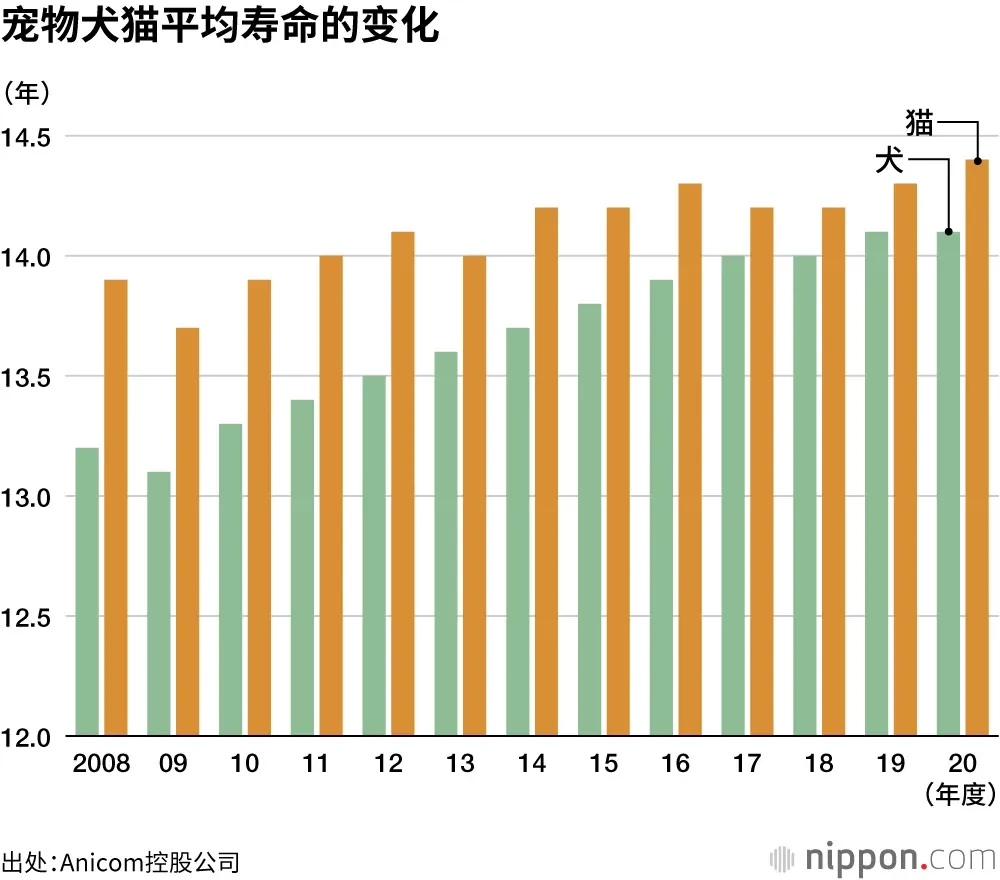 给老年宠物做“保健品”？这个中国品牌把中药卖到了欧洲