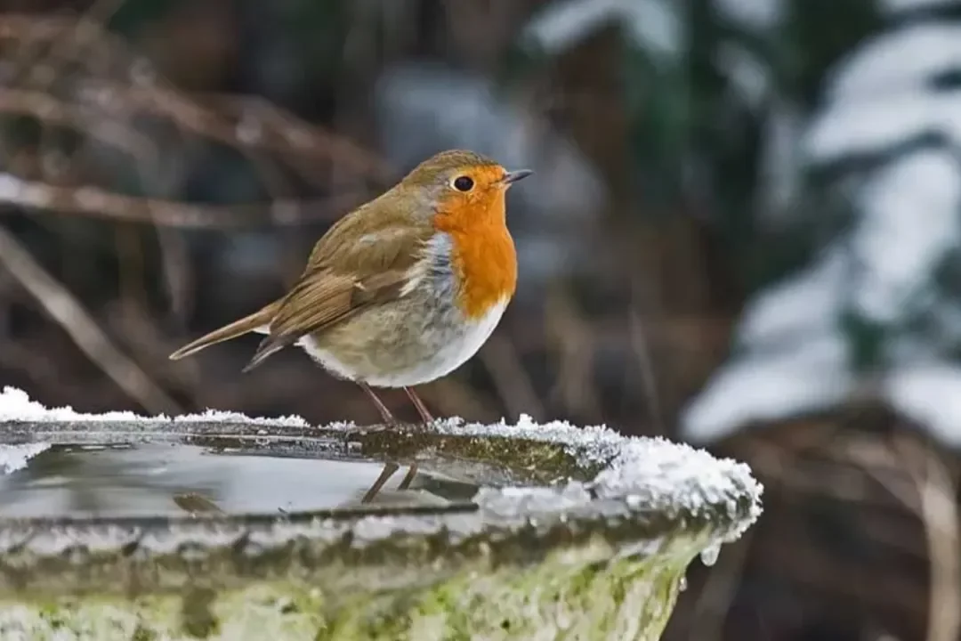 我们所以为的小众，是美国人的刚需——信息差带来的选品机会
