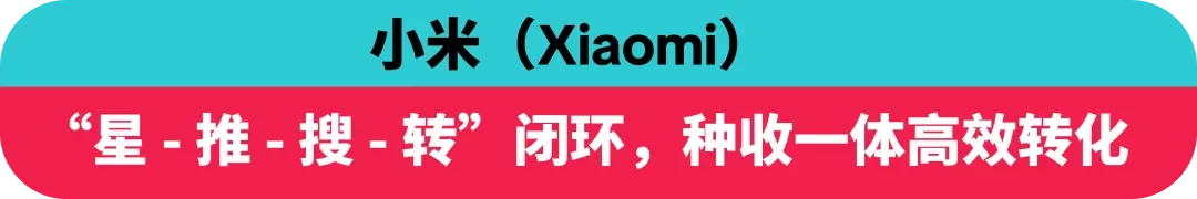 创意领航！TikTok Creative Success 2025 揭示全球化营销新趋势