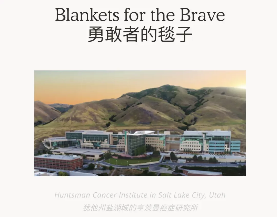 $399毛毯单月狂卖1000万美金，黑五投流狠角色