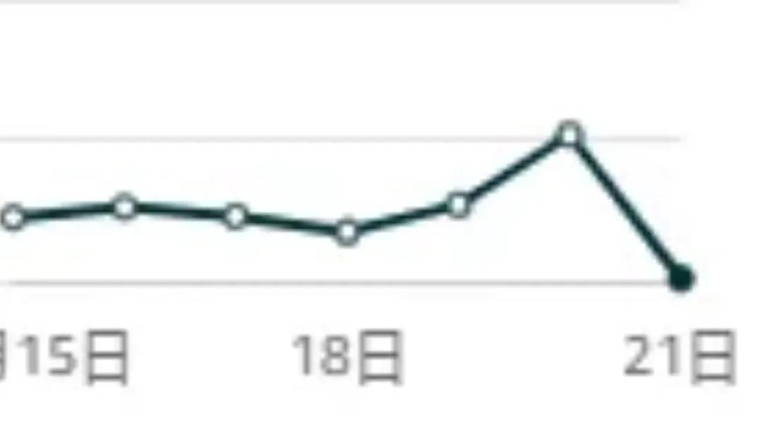 亚马逊黑五首日单量遇冷，一批卖家“弃赛”