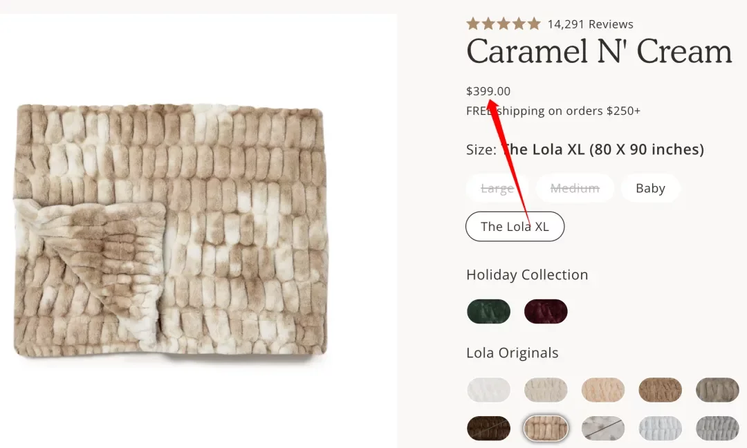 $399毛毯单月狂卖1000万美金，黑五投流狠角色