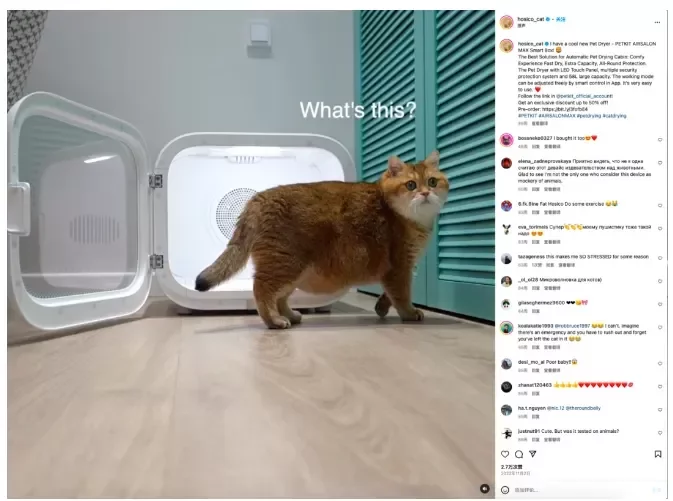 海外营销案例解析:稳住“毛孩子”,抓住钱袋子!