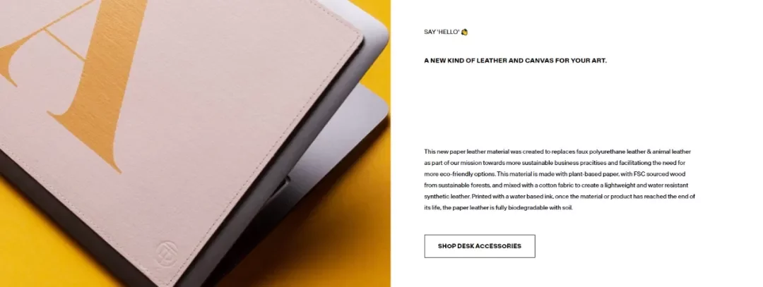 独立站优秀案例分析：手机壳品牌如何提升溢价空间？