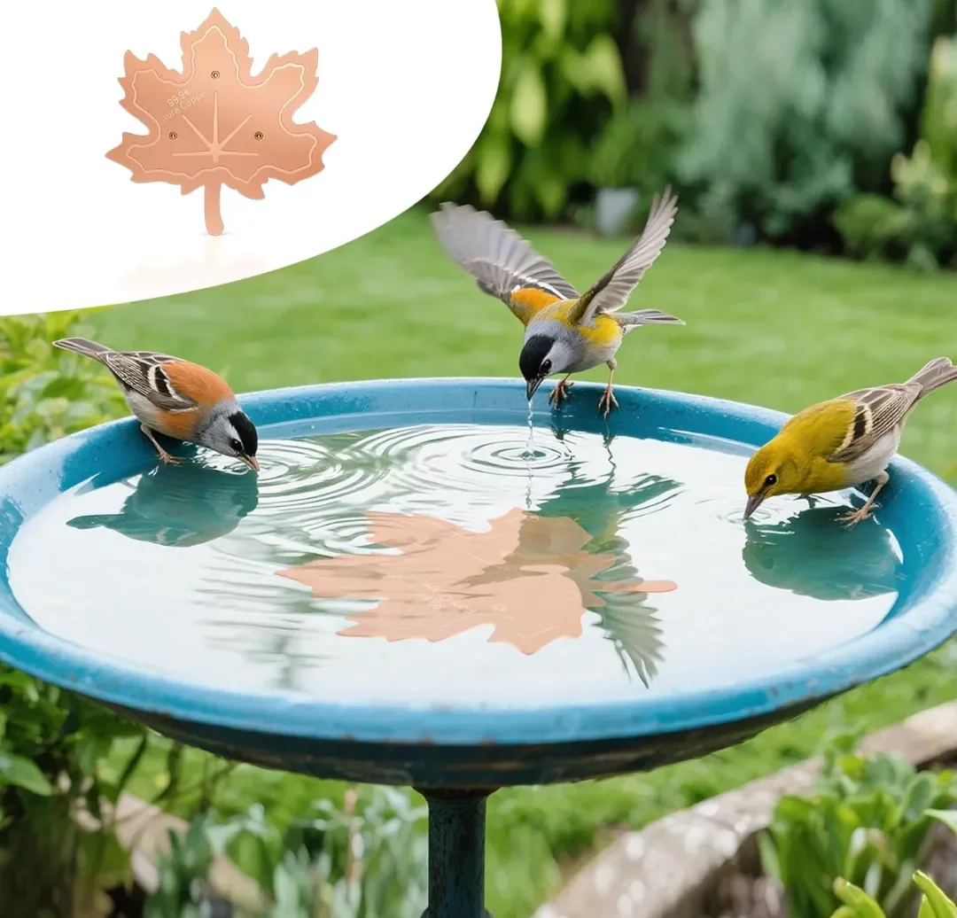 我们所以为的小众，是美国人的刚需——信息差带来的选品机会