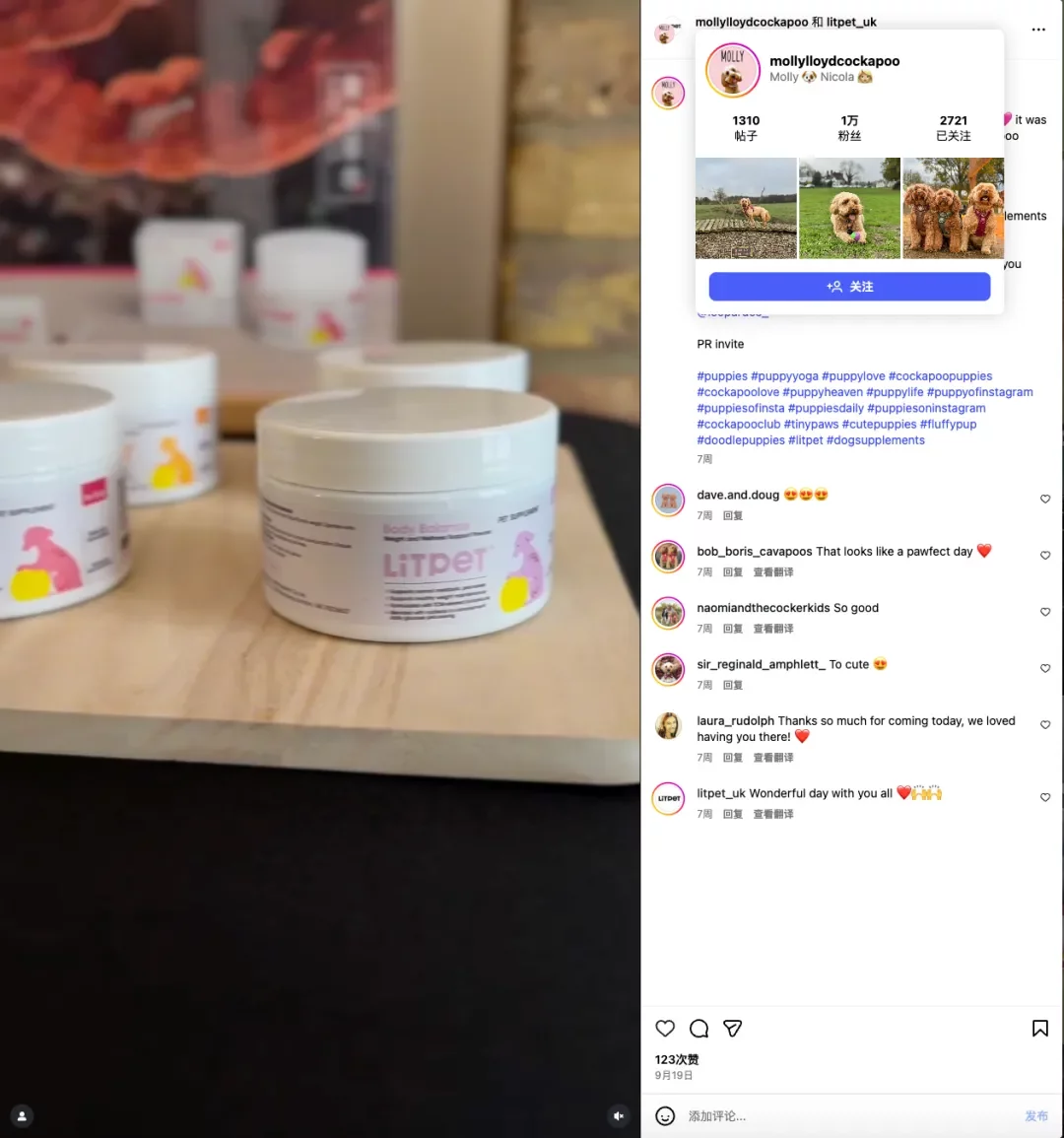 给老年宠物做“保健品”？这个中国品牌把中药卖到了欧洲